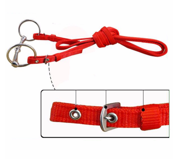 Soft Horse Riding Equipment TrackingMore